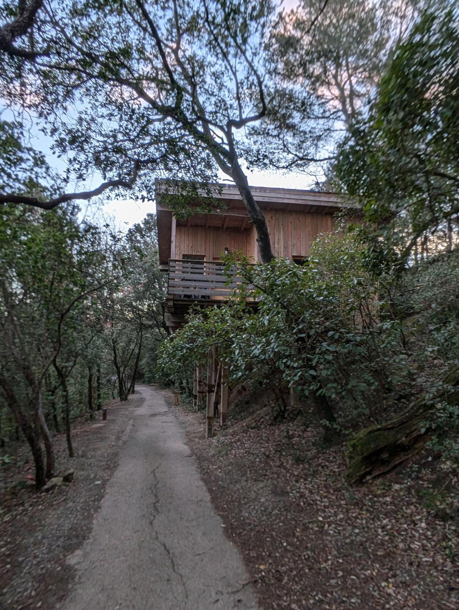 Les Cabanes Dans Les Bois Logis Hotel Villedubert Exterior foto