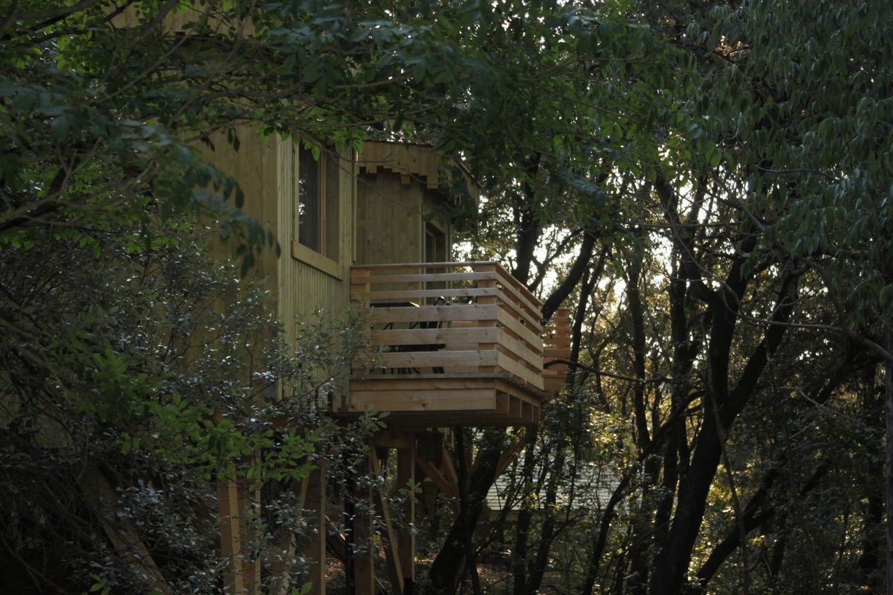 Les Cabanes Dans Les Bois Logis Hotel Villedubert Zimmer foto