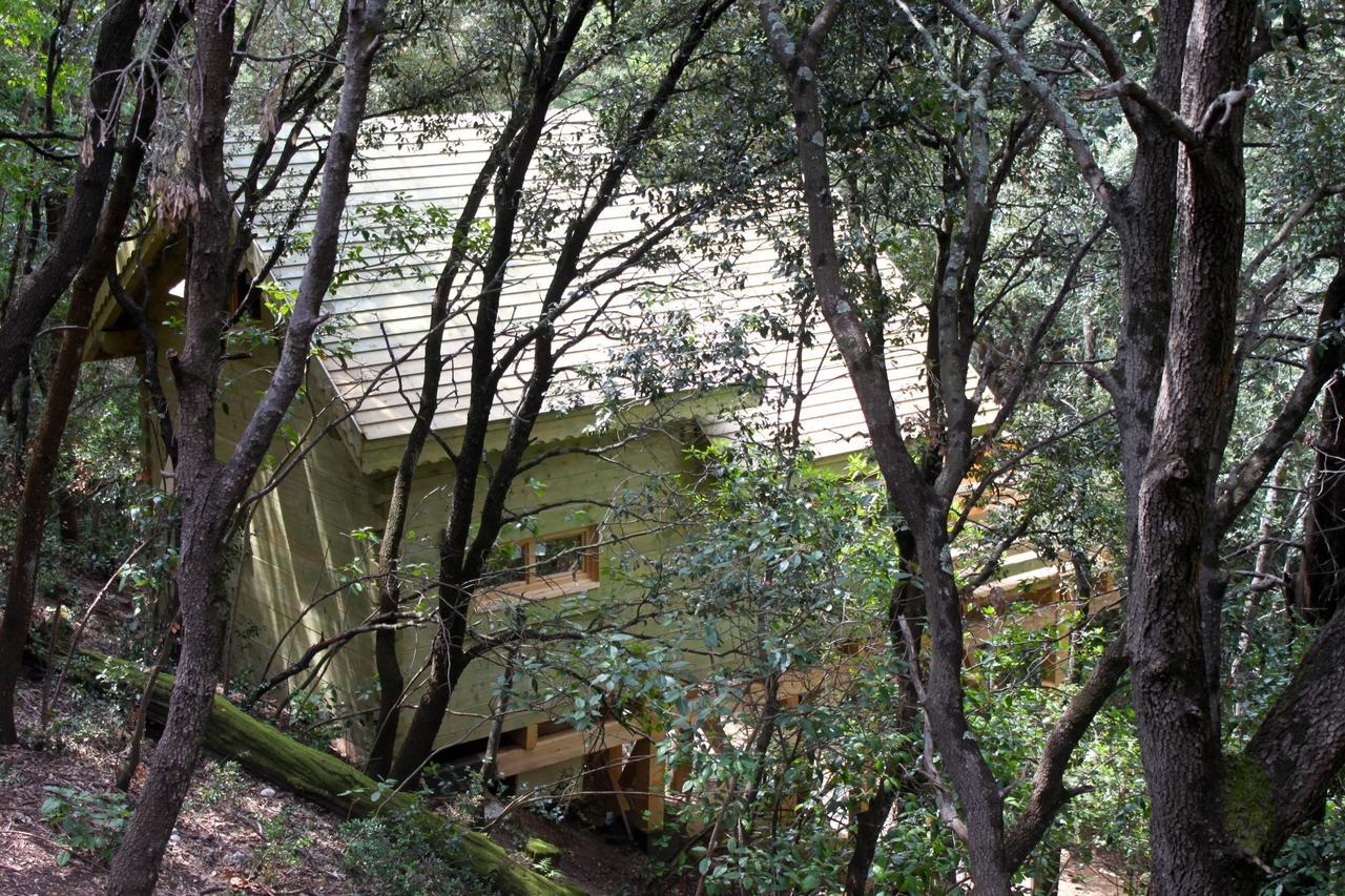 Les Cabanes Dans Les Bois Logis Hotel Villedubert Exterior foto