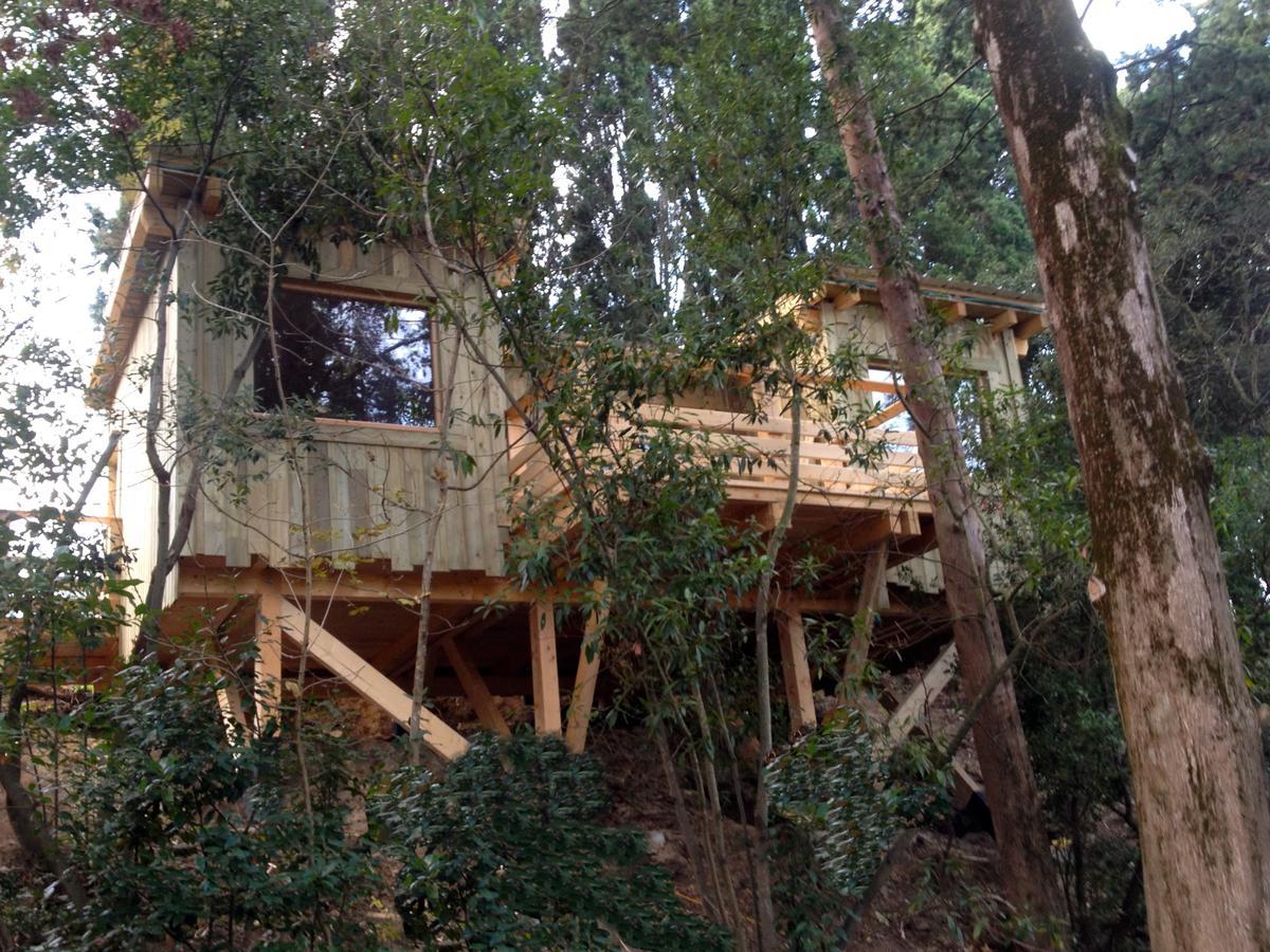 Les Cabanes Dans Les Bois Logis Hotel Villedubert Zimmer foto