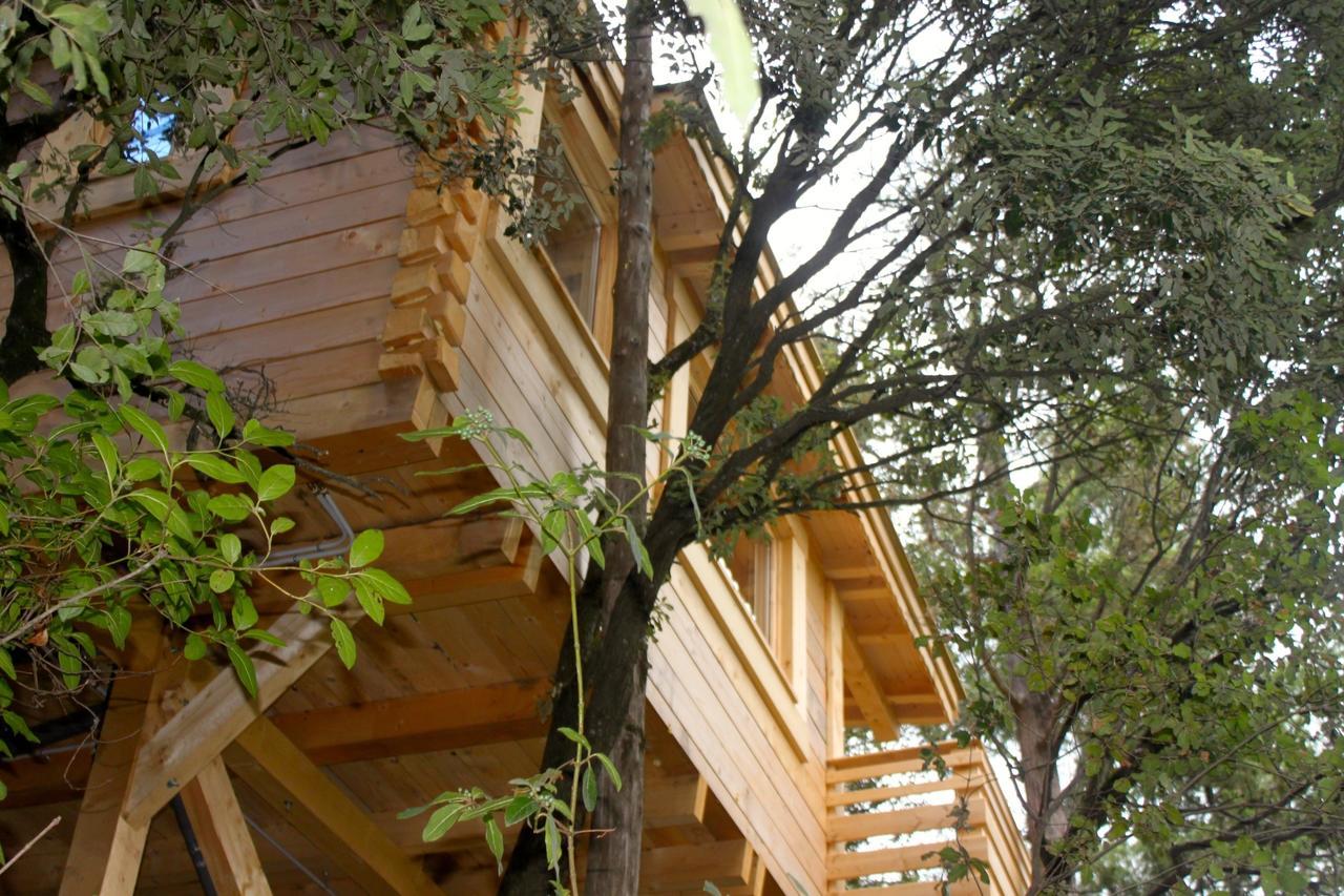 Les Cabanes Dans Les Bois Logis Hotel Villedubert Exterior foto