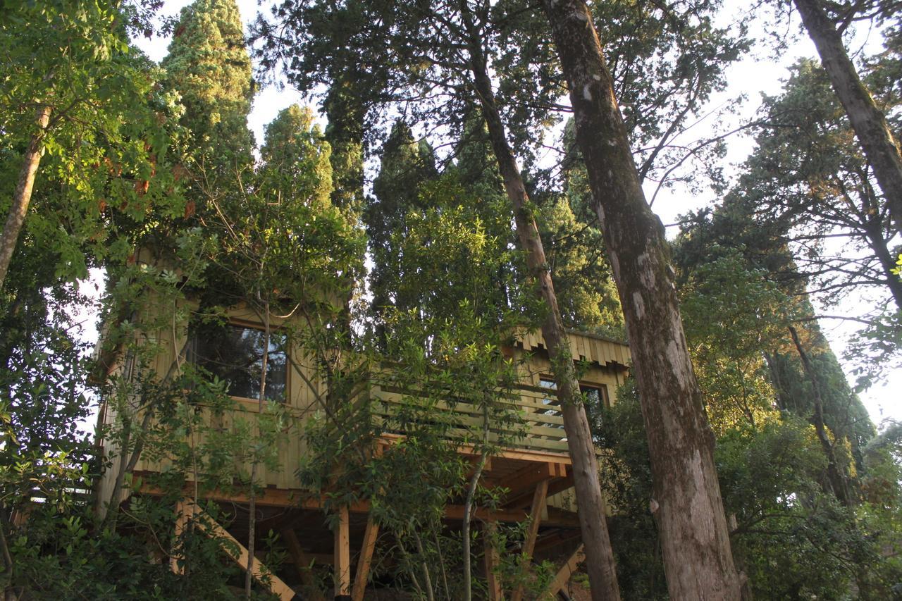 Les Cabanes Dans Les Bois Logis Hotel Villedubert Zimmer foto